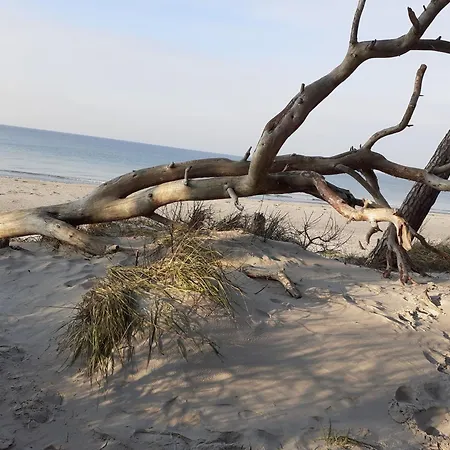 Gemuetliche Ferienunterkunft Lägenhet